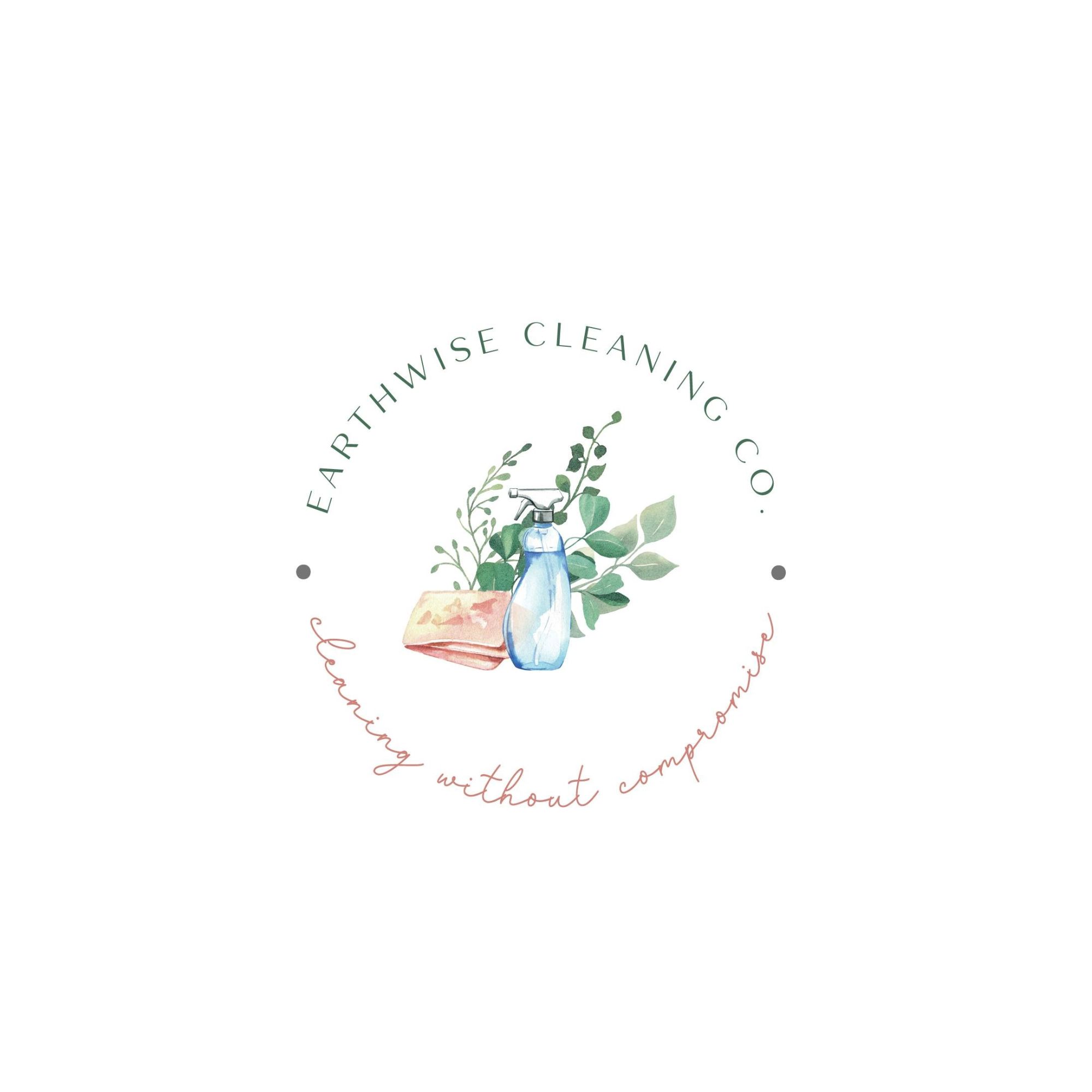 Earthwise Cleaning Company LLC